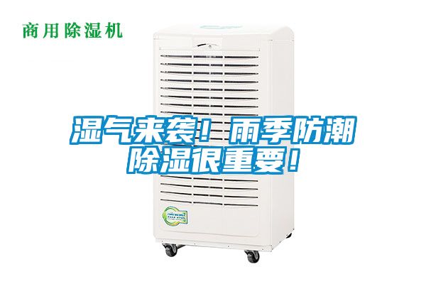 濕氣來襲！雨季防潮除濕很重要！