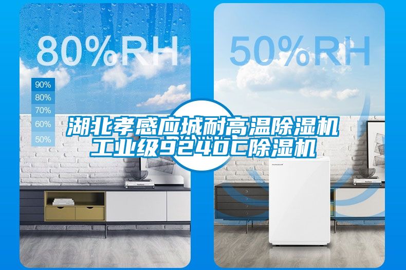 湖北孝感應城耐高溫除濕機工業(yè)級9240C除濕機