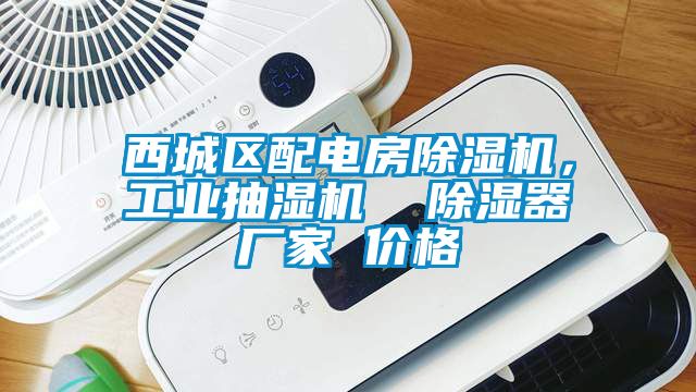 西城區(qū)配電房除濕機(jī)，工業(yè)抽濕機(jī)  除濕器廠家 價(jià)格
