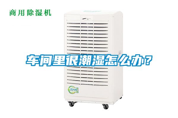 車間里很潮濕怎么辦？