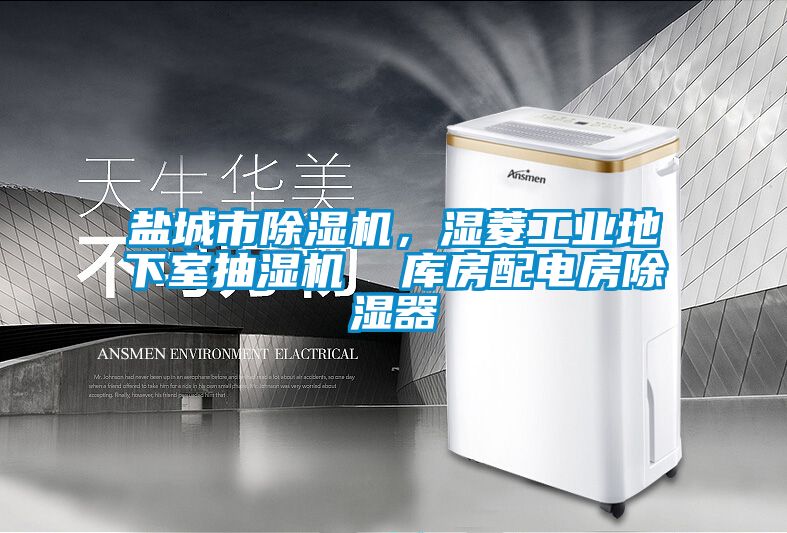 鹽城市除濕機，濕菱工業(yè)地下室抽濕機  庫房配電房除濕器