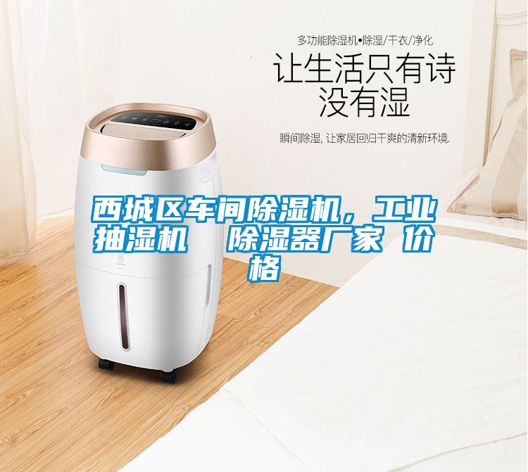 西城區(qū)車間除濕機(jī)，工業(yè)抽濕機(jī)  除濕器廠家 價(jià)格