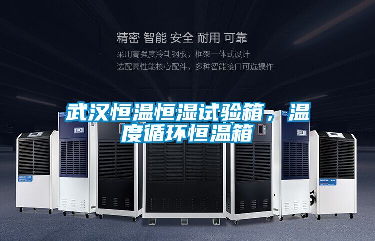武漢恒溫恒濕試驗箱，溫度循環(huán)恒溫箱