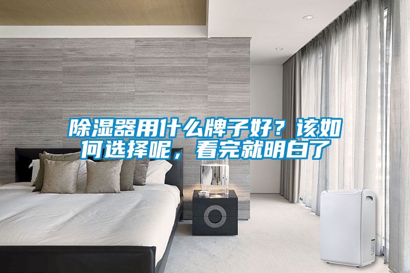 除濕器用什么牌子好？該如何選擇呢，看完就明白了