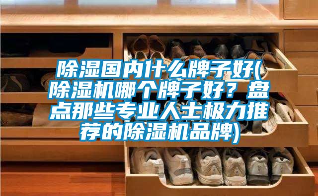 除濕國內什么牌子好(除濕機哪個牌子好？盤點那些專業(yè)人士極力推薦的除濕機品牌)