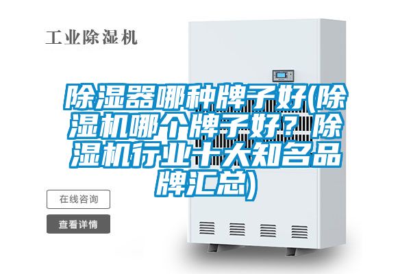 除濕器哪種牌子好(除濕機(jī)哪個(gè)牌子好？除濕機(jī)行業(yè)十大知名品牌匯總)