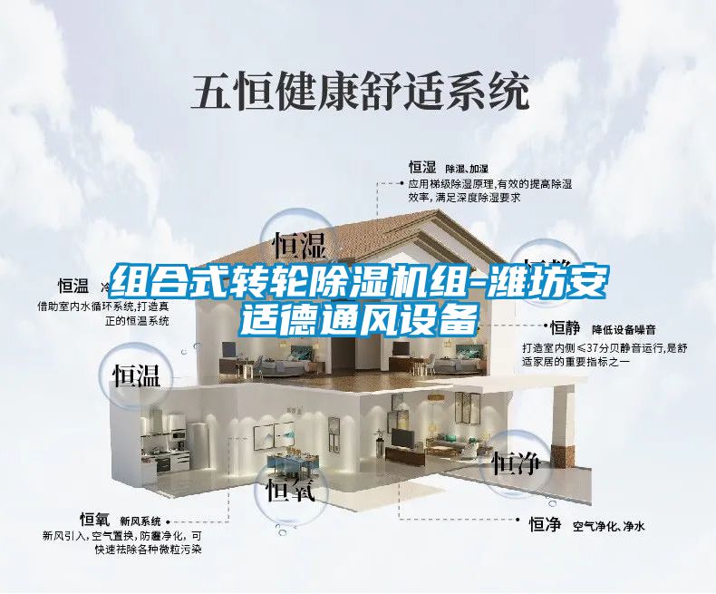組合式轉(zhuǎn)輪除濕機組-濰坊安適德通風設備