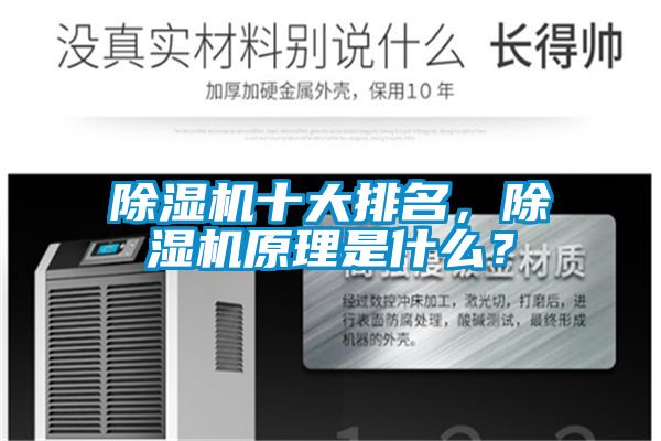 除濕機十大排名，除濕機原理是什么？