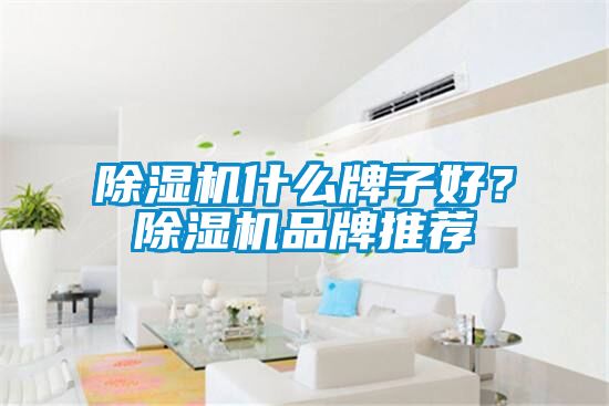 除濕機(jī)什么牌子好？除濕機(jī)品牌推薦