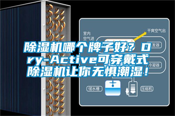 除濕機哪個牌子好？Dry-Active可穿戴式除濕機讓你無懼潮濕！
