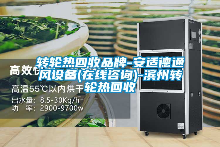 轉(zhuǎn)輪熱回收品牌-安適德通風設備(在線咨詢)-濱州轉(zhuǎn)輪熱回收