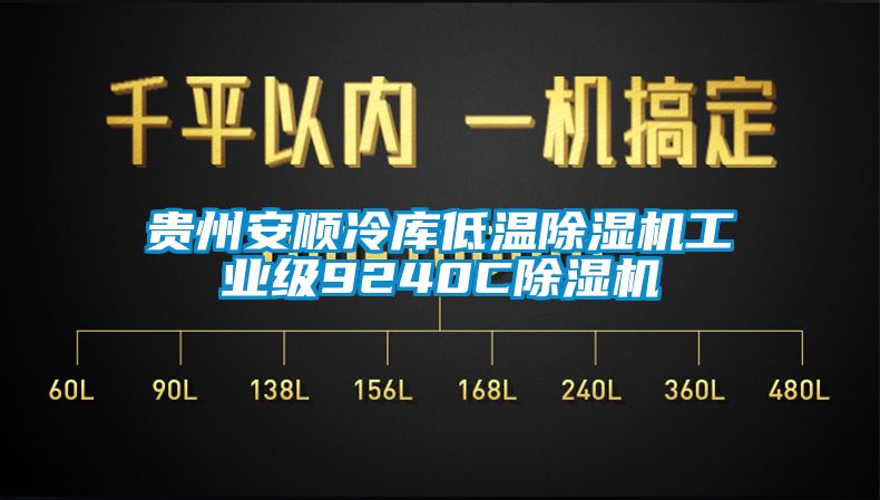 貴州安順冷庫(kù)低溫除濕機(jī)工業(yè)級(jí)9240C除濕機(jī)
