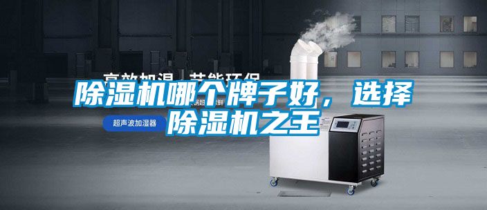 除濕機哪個牌子好，選擇除濕機之王