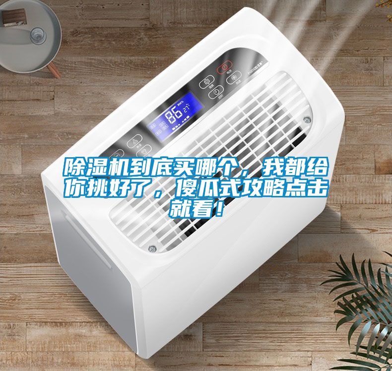 除濕機到底買哪個，我都給你挑好了，傻瓜式攻略點擊就看！