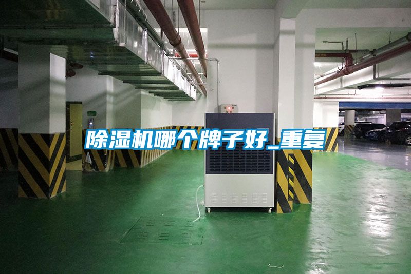 除濕機哪個牌子好_重復(fù)