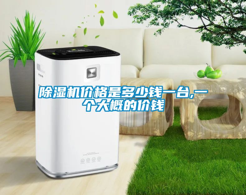 除濕機(jī)價(jià)格是多少錢一臺(tái),一個(gè)大概的價(jià)錢