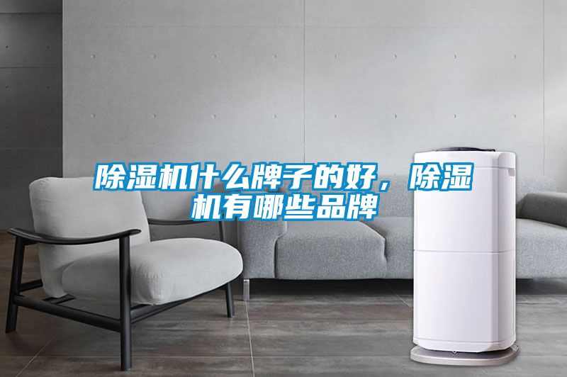 除濕機什么牌子的好，除濕機有哪些品牌