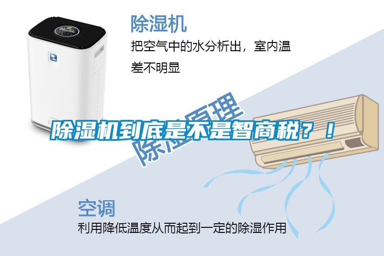 除濕機(jī)到底是不是智商稅？！