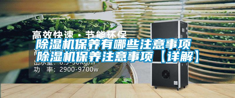 除濕機(jī)保養(yǎng)有哪些注意事項 除濕機(jī)保養(yǎng)注意事項【詳解】