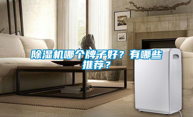 除濕機哪個牌子好？有哪些推薦？