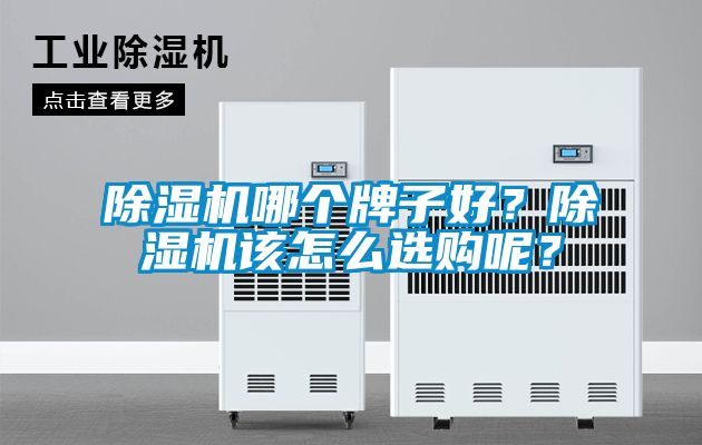 除濕機(jī)哪個(gè)牌子好？除濕機(jī)該怎么選購(gòu)呢？