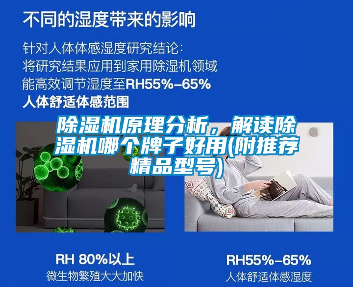 除濕機(jī)原理分析，解讀除濕機(jī)哪個牌子好用(附推薦精品型號)