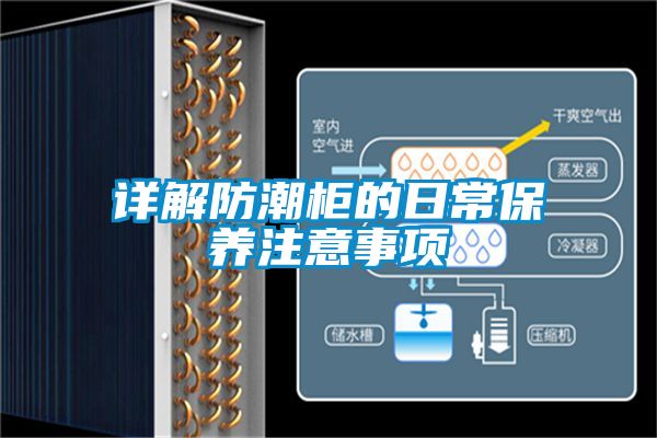 詳解防潮柜的日常保養(yǎng)注意事項