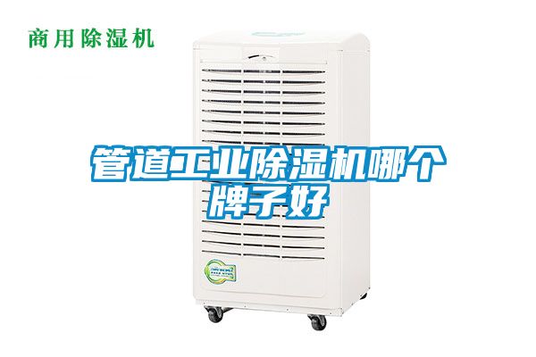 管道工業(yè)除濕機(jī)哪個牌子好