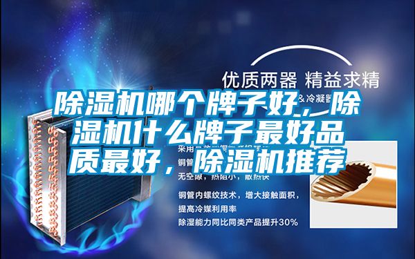 除濕機哪個牌子好，除濕機什么牌子最好品質(zhì)最好，除濕機推薦