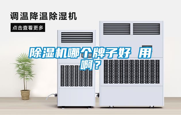 除濕機(jī)哪個牌子好 用??？