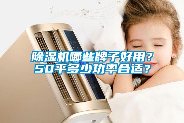 除濕機(jī)哪些牌子好用？50平多少功率合適？