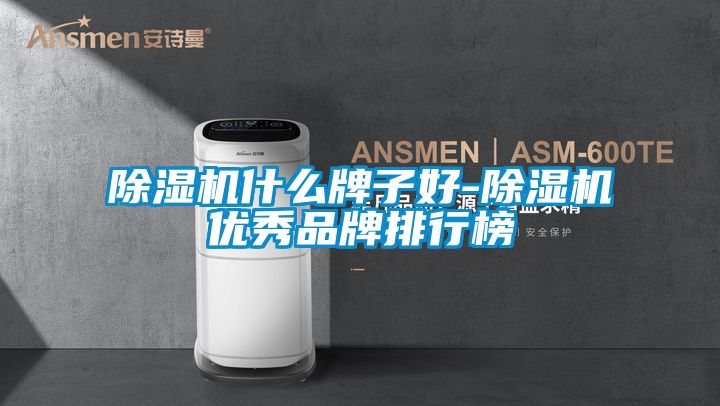 除濕機什么牌子好-除濕機優(yōu)秀品牌排行榜