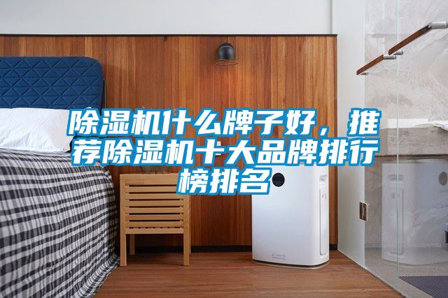 除濕機什么牌子好，推薦除濕機十大品牌排行榜排名