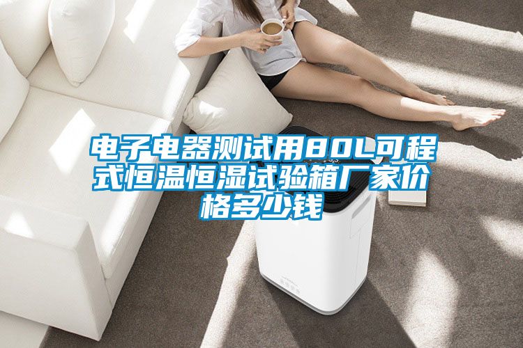 電子電器測試用80L可程式恒溫恒濕試驗(yàn)箱廠家價(jià)格多少錢