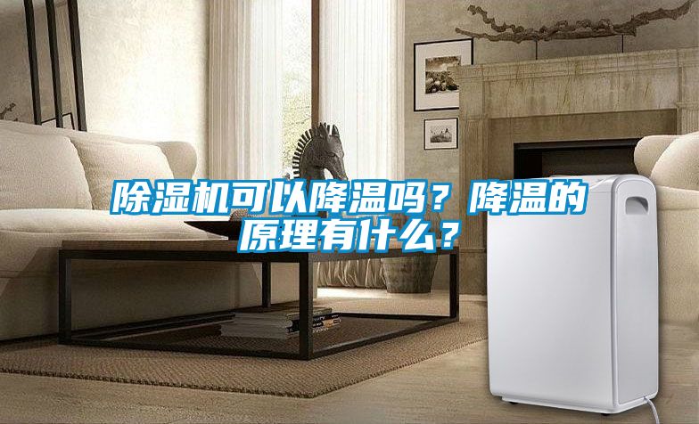 除濕機(jī)可以降溫嗎？降溫的原理有什么？