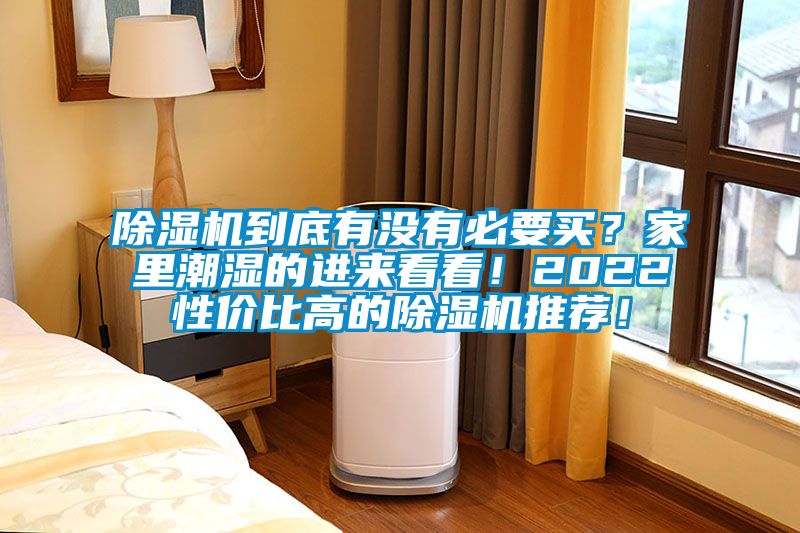 除濕機(jī)到底有沒有必要買？家里潮濕的進(jìn)來看看！2022性價(jià)比高的除濕機(jī)推薦！