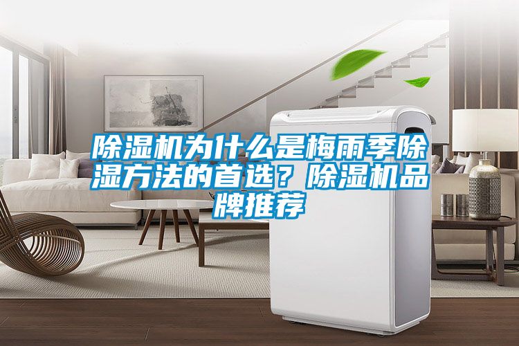 除濕機(jī)為什么是梅雨季除濕方法的首選？除濕機(jī)品牌推薦
