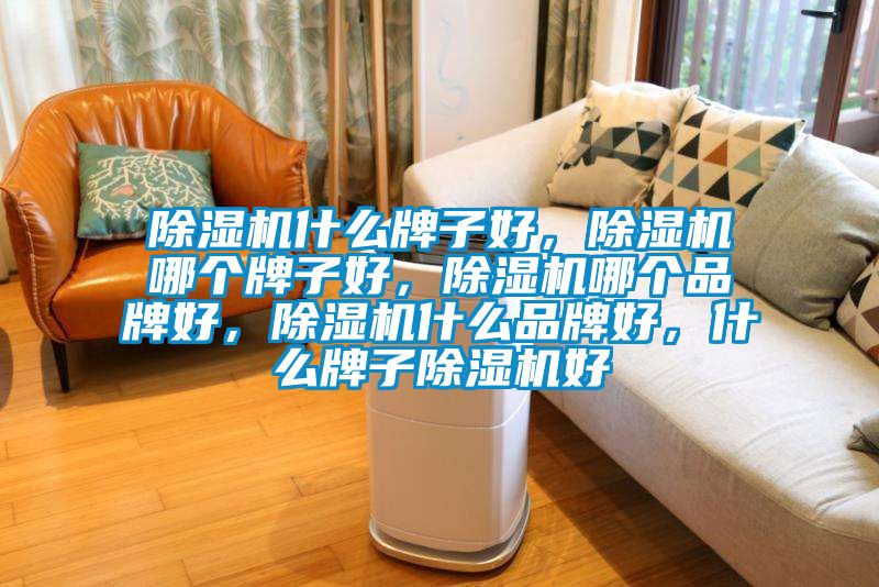 除濕機什么牌子好，除濕機哪個牌子好，除濕機哪個品牌好，除濕機什么品牌好，什么牌子除濕機好