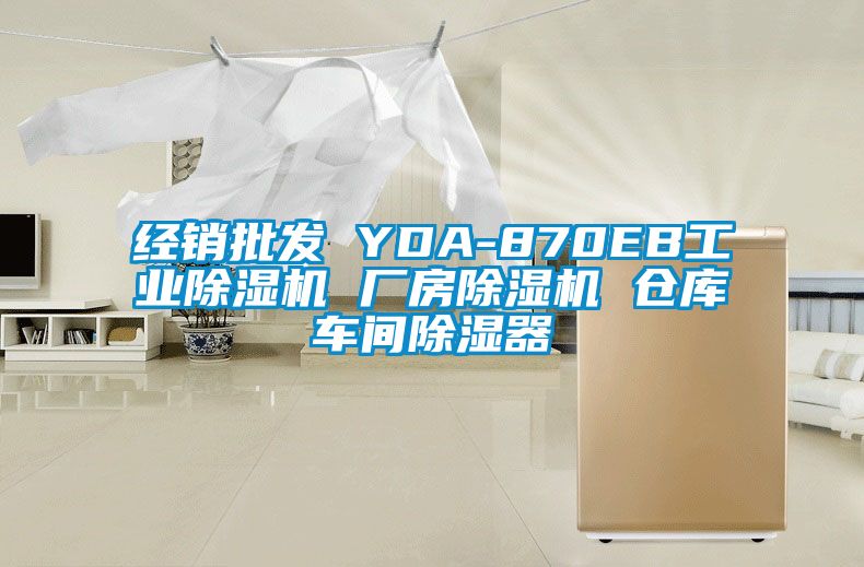 經(jīng)銷批發(fā) YDA-870EB工業(yè)除濕機(jī) 廠房除濕機(jī) 倉庫車間除濕器