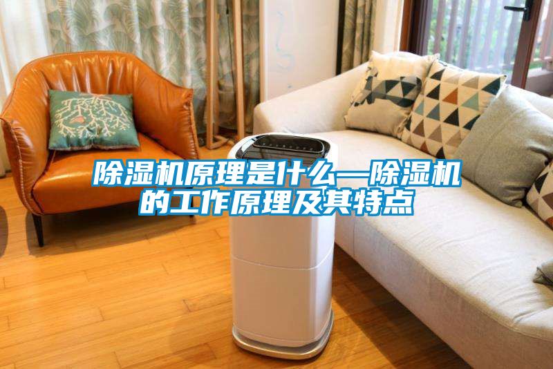 除濕機(jī)原理是什么—除濕機(jī)的工作原理及其特點