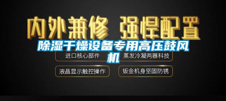 除濕干燥設(shè)備專(zhuān)用高壓鼓風(fēng)機(jī)