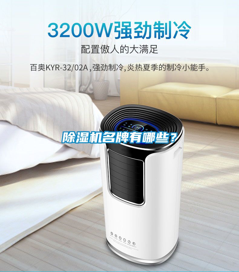 除濕機名牌有哪些？