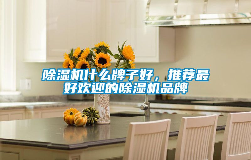 除濕機什么牌子好，推薦最好歡迎的除濕機品牌