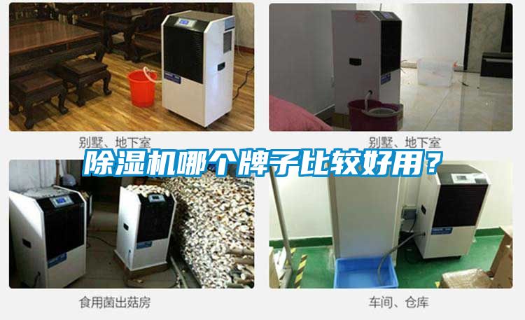 除濕機(jī)哪個牌子比較好用？