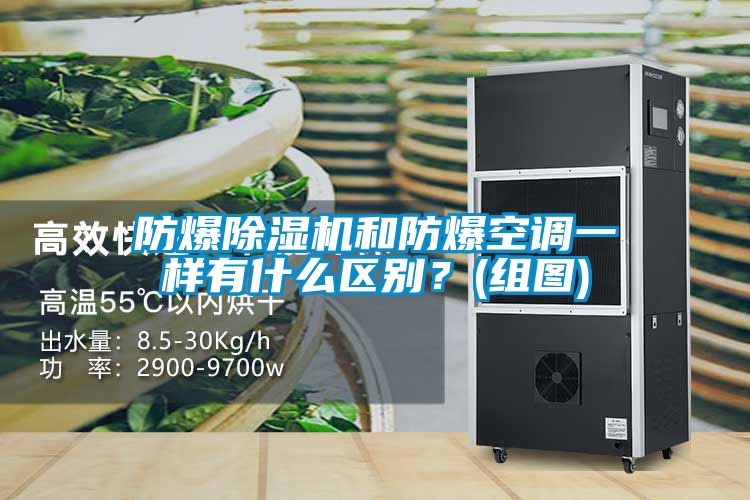 防爆除濕機和防爆空調(diào)一樣有什么區(qū)別？(組圖)