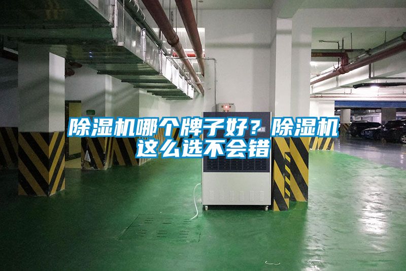 除濕機哪個牌子好？除濕機這么選不會錯