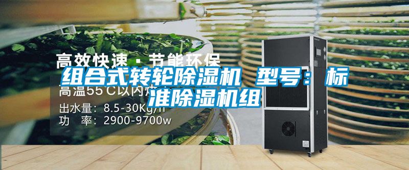 組合式轉(zhuǎn)輪除濕機 型號：標準除濕機組