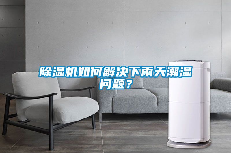除濕機如何解決下雨天潮濕問題？