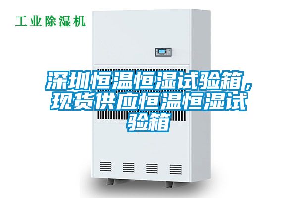 深圳恒溫恒濕試驗箱，現(xiàn)貨供應恒溫恒濕試驗箱