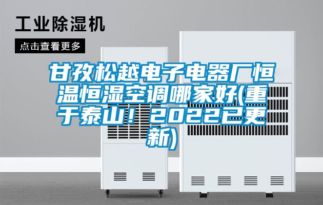 甘孜松越電子電器廠恒溫恒濕空調(diào)哪家好(重于泰山！2022已更新)